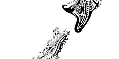 نقشه نیوزیلند,